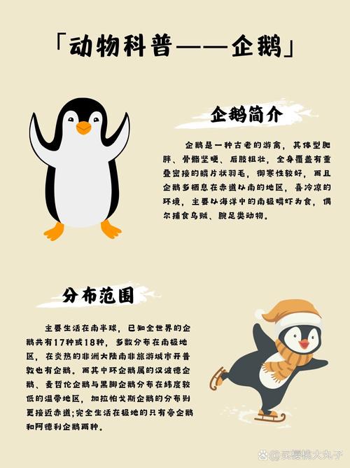 企鹅互动官方网站入口最新版本更新内容介绍