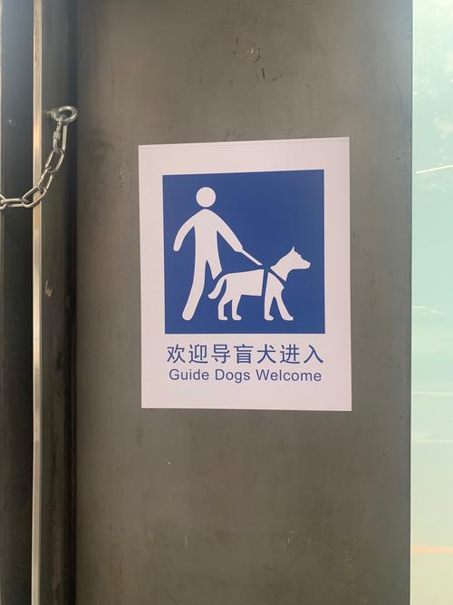 小型犬可以带上地铁吗