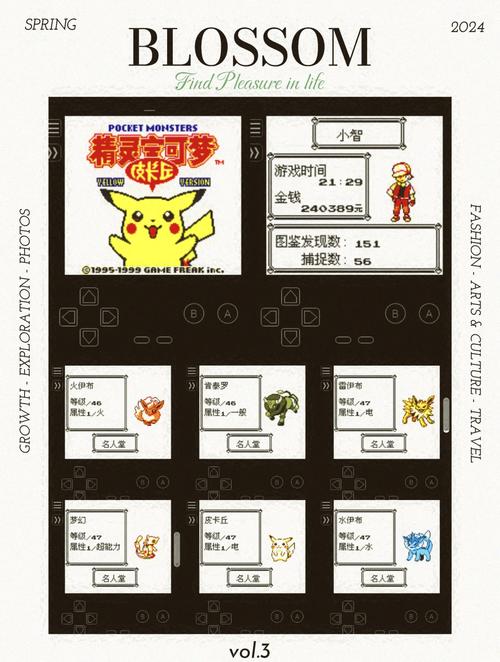 精灵宝可梦黄完美汉化版