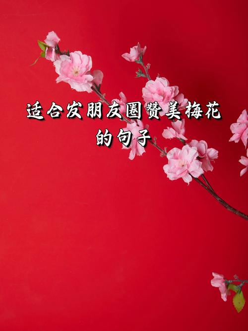 关于梅花的朋友圈文案