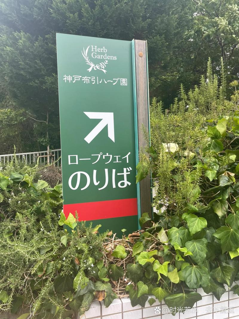 神户枫叶景区最新消息
