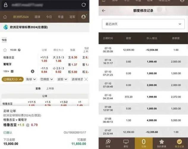 网赌p转账截图上分截图