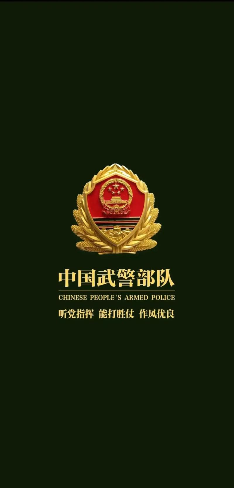 中国武警突击队游戏