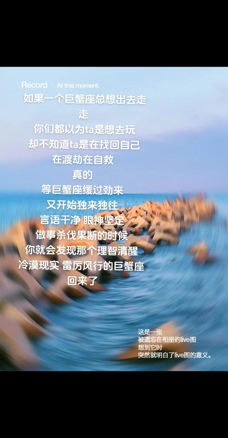 高清码❌♋免费打软件