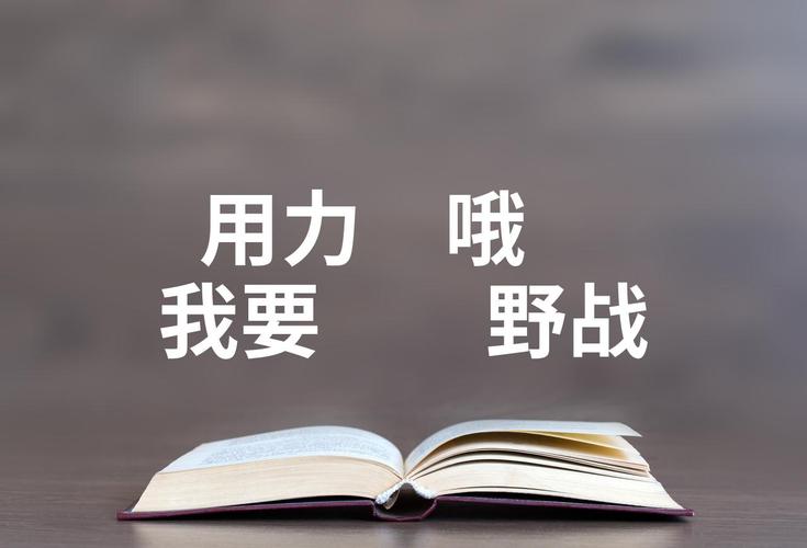 用力⋯哦⋯我要⋯⋯喷了软件