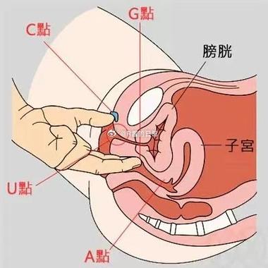 女性睡着被刺激下面会做春梦吗