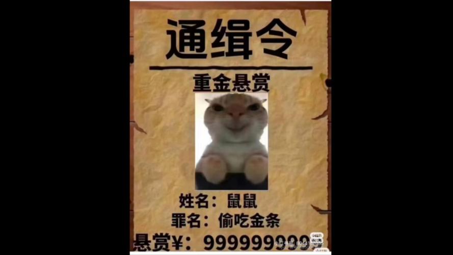 地铁逃生老鼠偷箱子