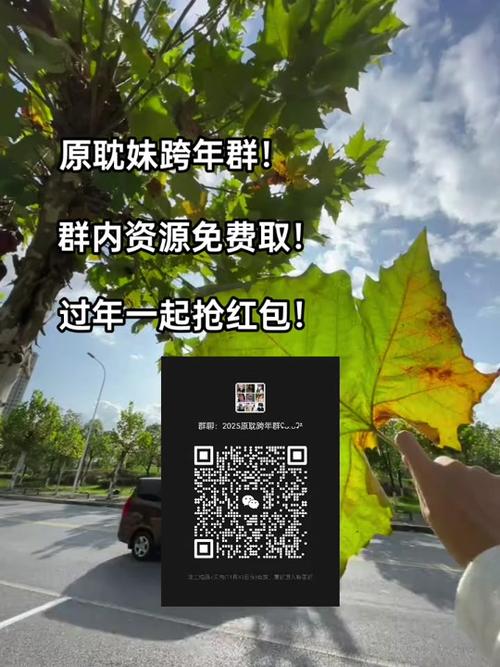 2025全部提现红包游戏截图