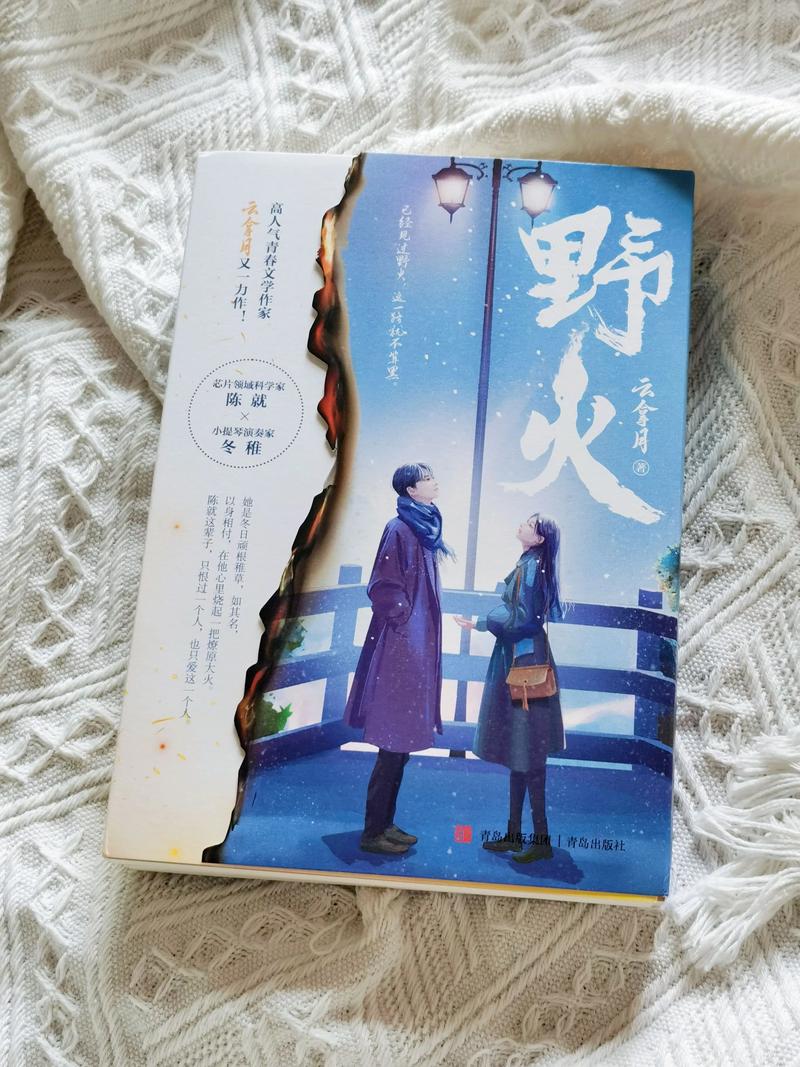 纵她野火小说改名了吗