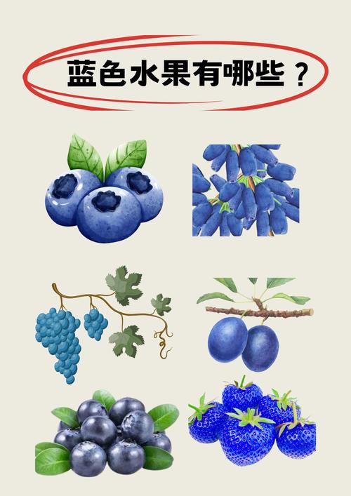 男女又爽❌又黄❌免费蓝莓视频