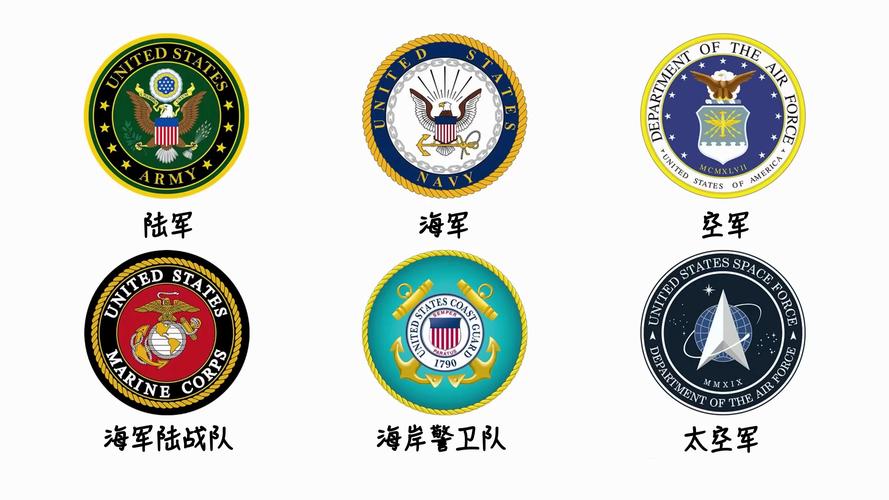 北辞12.0免费