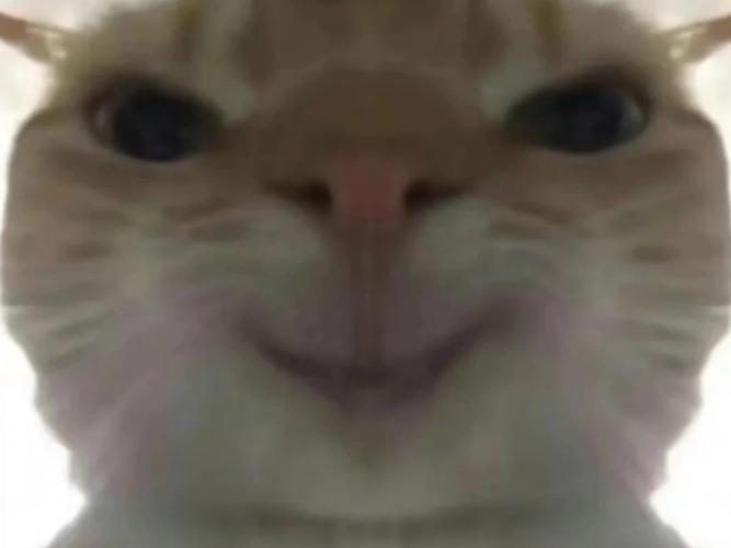 鼠鼠又来猛攻了
