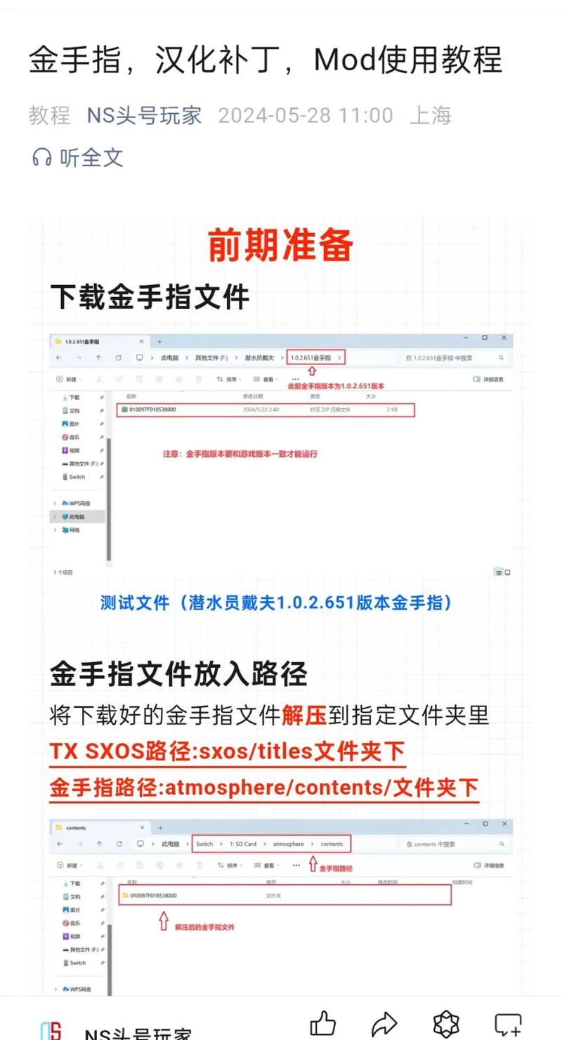 ns破解版金手指怎么用