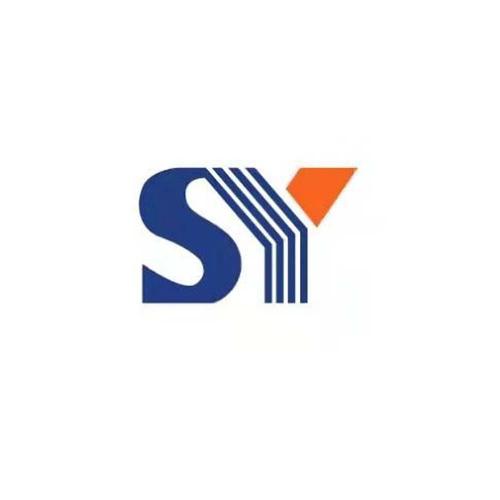 sy飘逸时空电脑版在哪