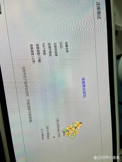 ns怎么跳过验证和认证步骤详解