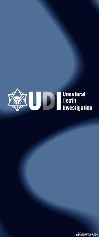 udietoo找不到存档