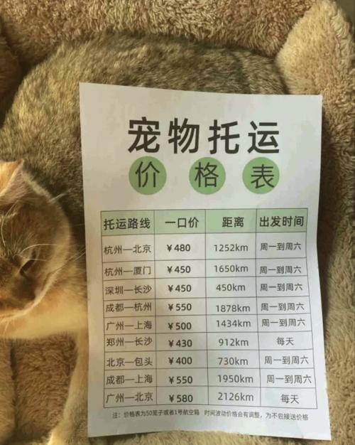 托运一只狗要多少钱