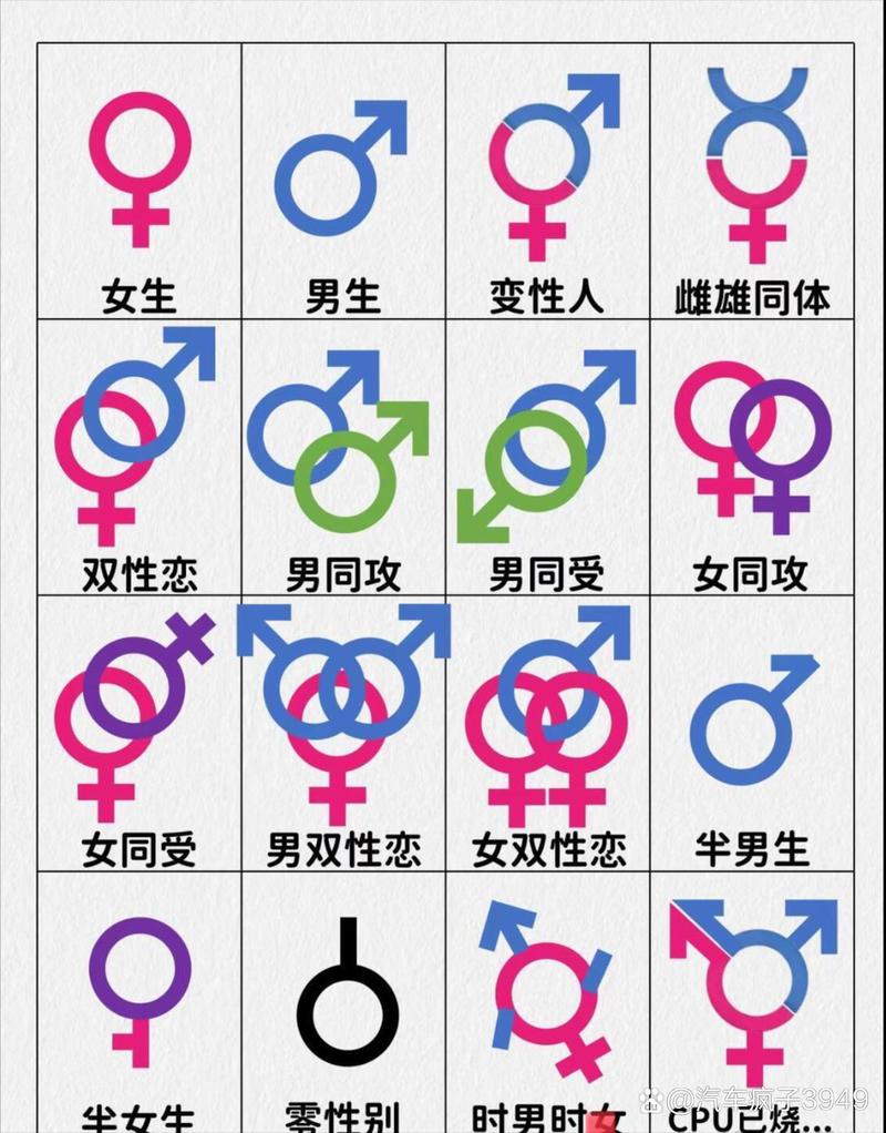 男女之间伙伴啥意思