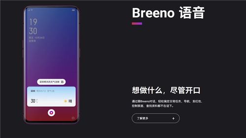 breeno语音安装