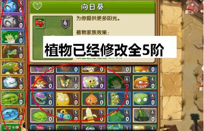 5阶植物版怎么打最简单
