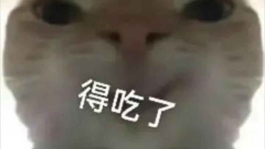 鼠鼠这把又得吃了