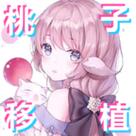地牢女训练师桃子移植攻略