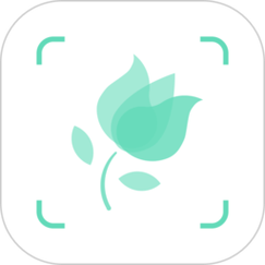 植物识别app官方