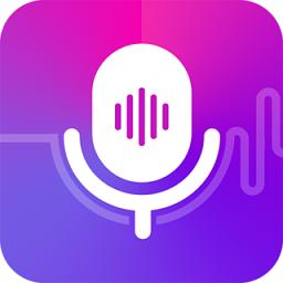 王者语音辅助器软件