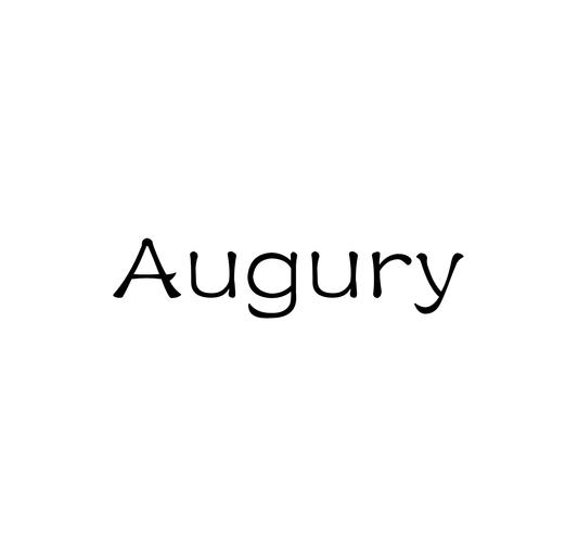 小数码的AUG