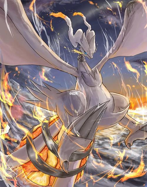 e站莱希拉姆永恒挚爱(Pokemon)