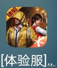 和平精英冷墨v2