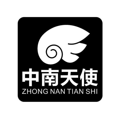 中南天使官方网站
