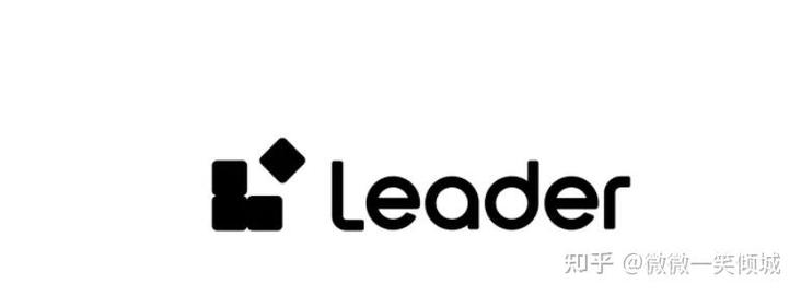 team leader中文翻译