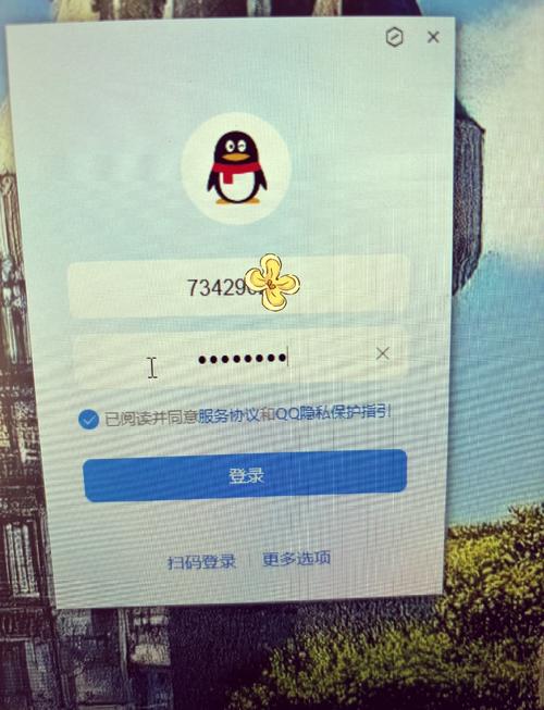 为什么国际服没有QQ登录