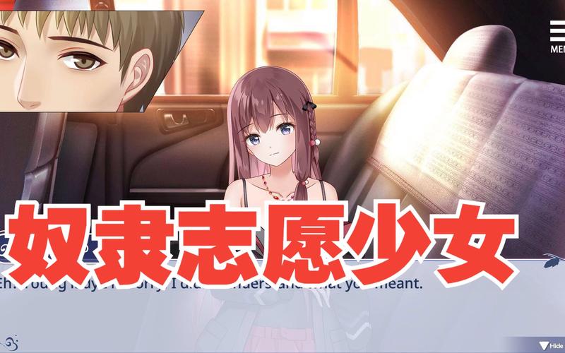 性奴志愿2安卓版安装截图