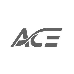 ace官方入口