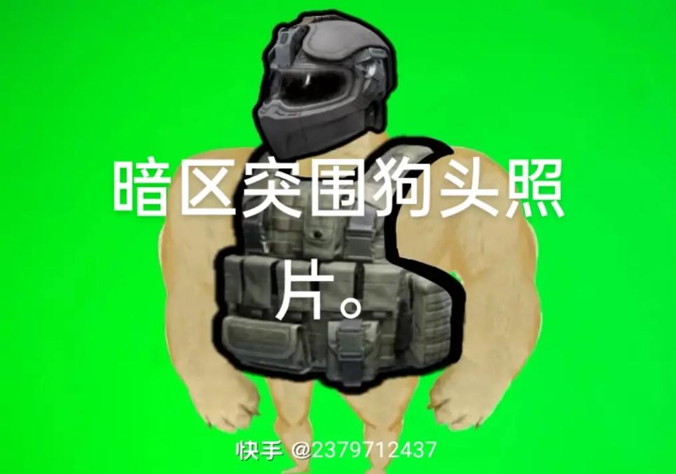 暗区突围狗狗版