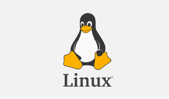 最好用的linux系统