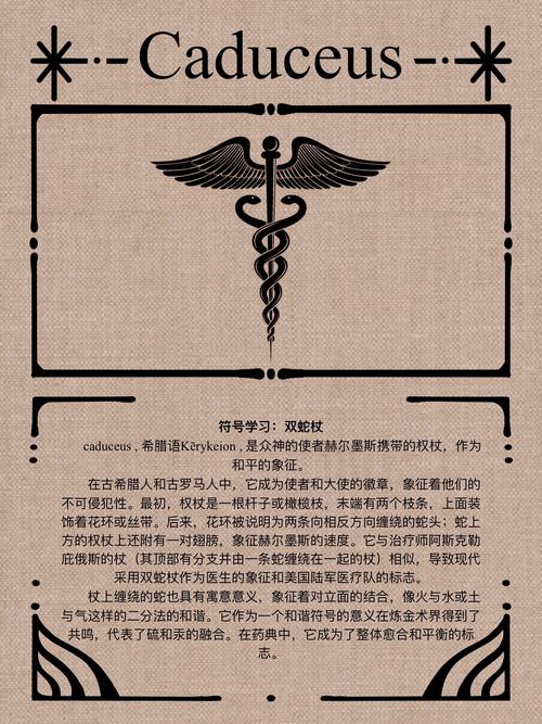 双蛇入侵1v2