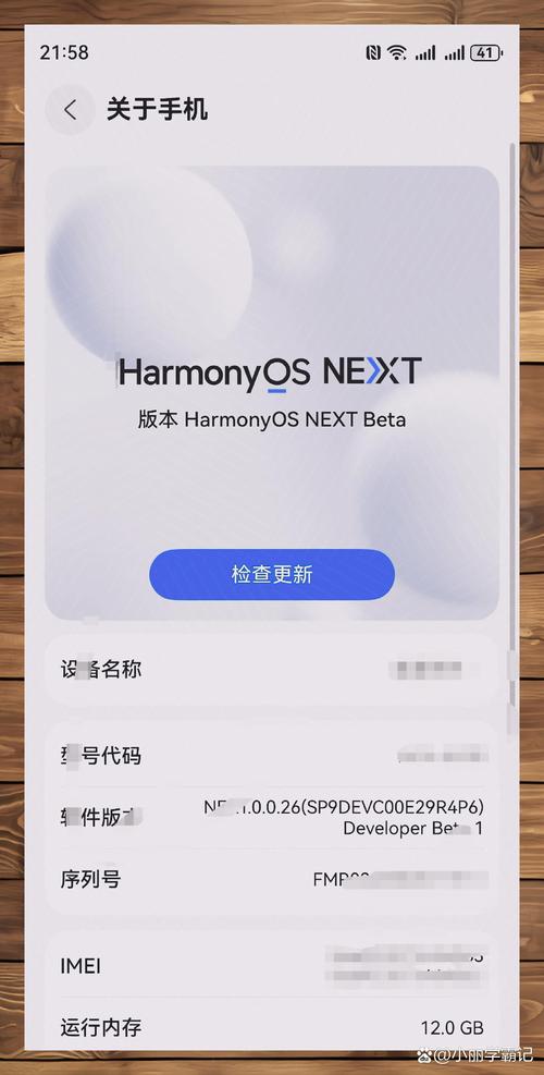 怎么看鸿蒙next支持的应用