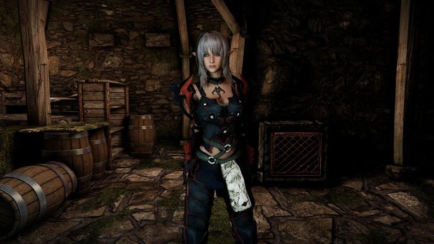 老滚十周年mod整合包2023最新版本亮点
