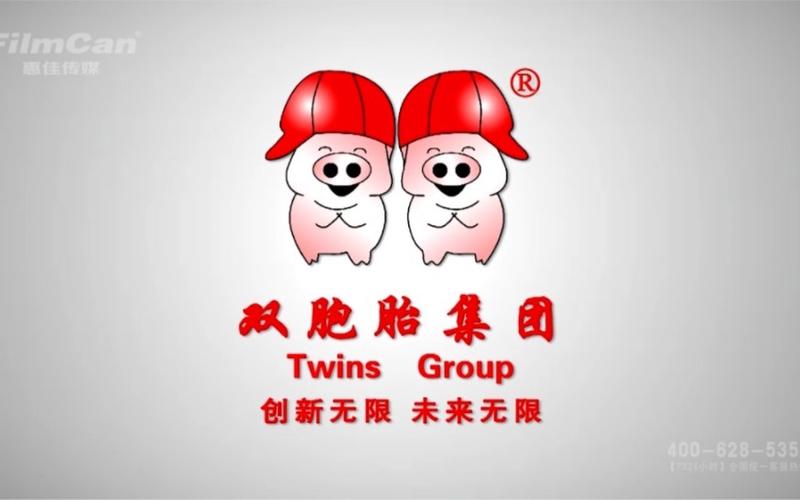 双胞胎outwitt无敌菜单