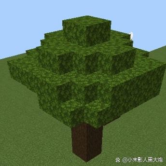 我的世界苍白橡树怎么种