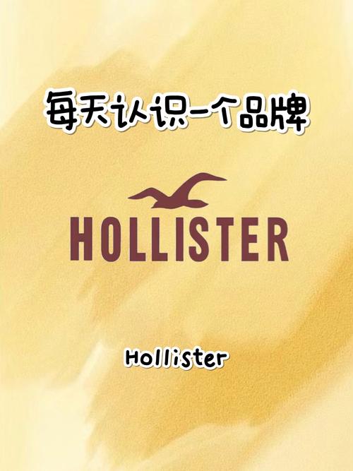 hollister中国官网