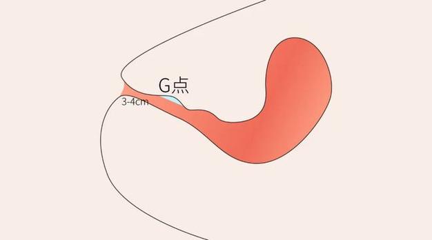 女人被狂躁G点高潮喷水