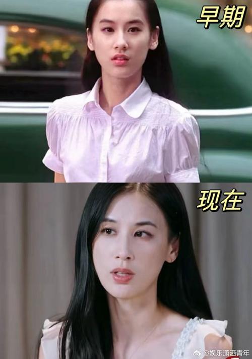 章子怡狠批黄圣依演技