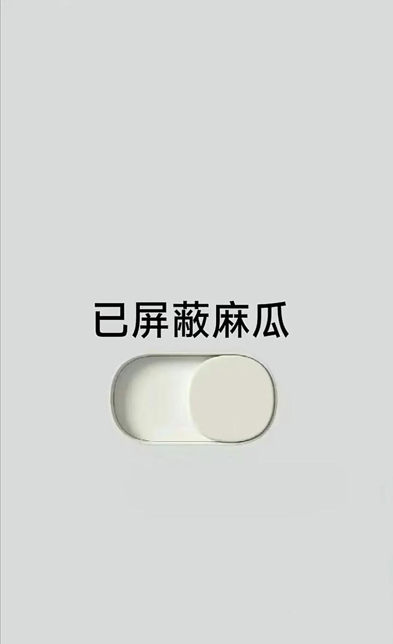 已屏蔽是什么意思