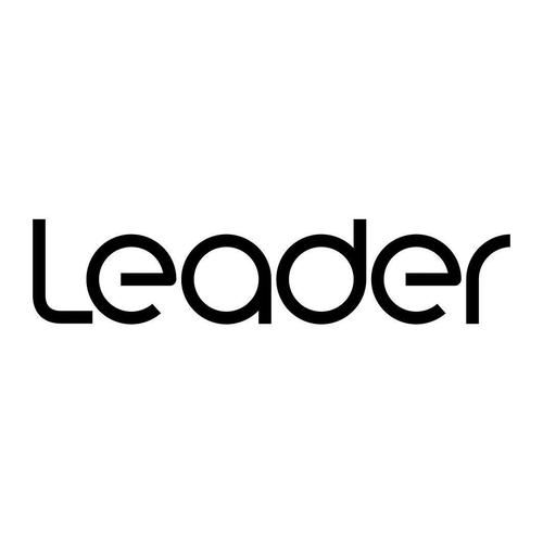 leader是什么岗位