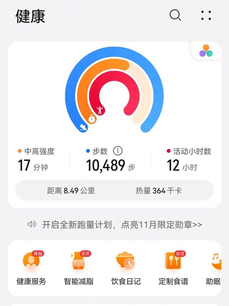 每天走路步数记录软件