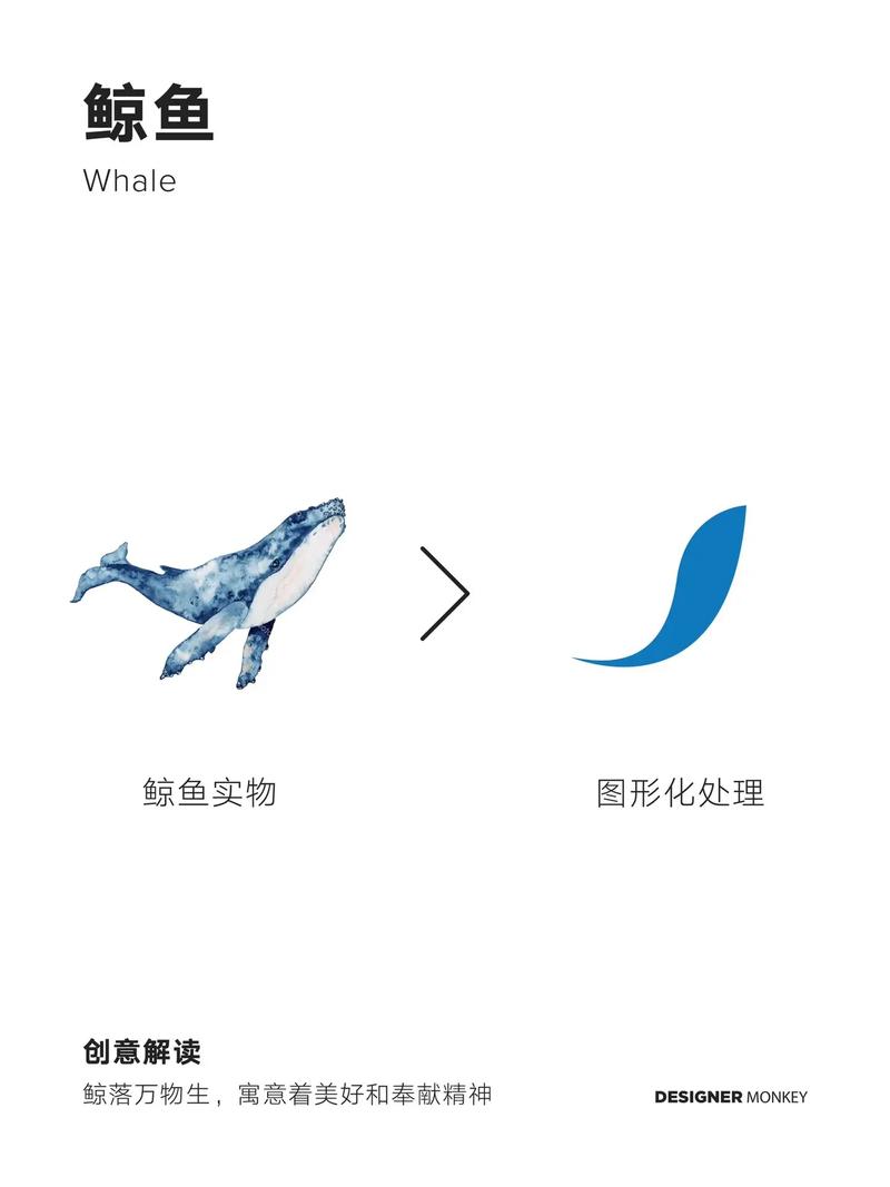 鲸鱼vnp官方版